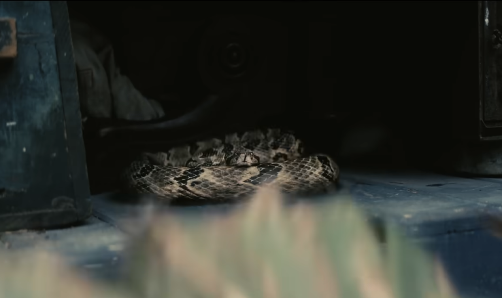 A snake coils in the back of a vehicle carrying a large amount of alcohol.